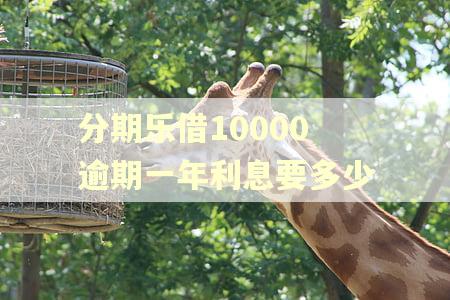 分期乐借10000逾期一年利息要多少