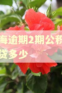 青海逾期2期公积金能贷多少