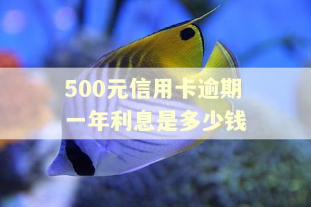 500元信用卡逾期一年利息是多少钱