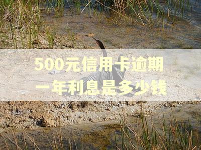 500元信用卡逾期一年利息是多少钱