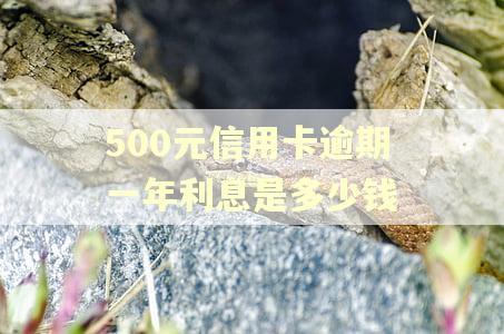 500元信用卡逾期一年利息是多少钱 500元信用卡逾期一年利息是多少钱