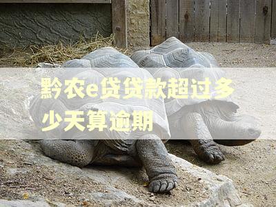 黔农e贷贷款超过多少天算逾期