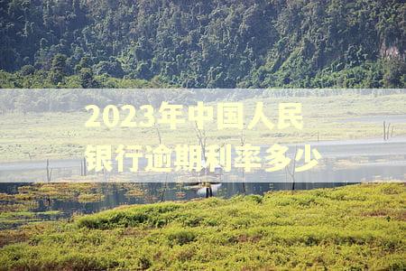 2023年中国人民银行逾期利率多少