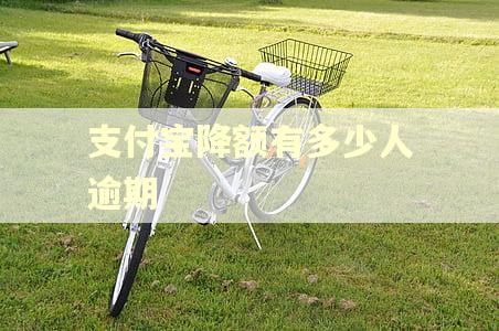 支付宝降额有多少人逾期