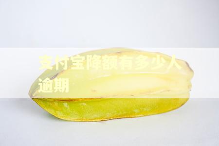 支付宝降额有多少人逾期
