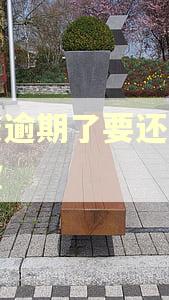 网贷逾期了要还多少罚款