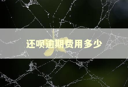 还呗逾期费用多少