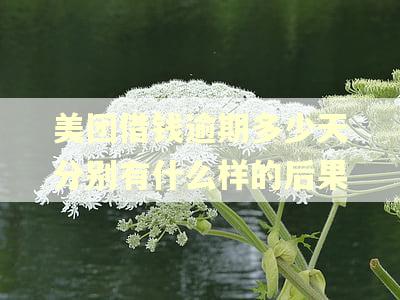 美团借钱逾期多少天分别有什么样的后果