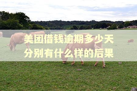 美团借钱逾期多少天分别有什么样的后果