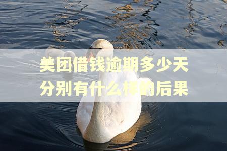 美团借钱逾期多少天分别有什么样的后果 美团借钱逾期多少天分别有什么样的后果
