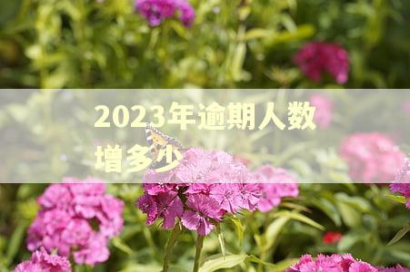 2023年逾期人数增多少