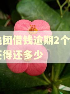 美团借钱逾期2个月还得还多少
