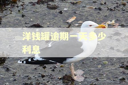 洋钱罐逾期一天多少利息