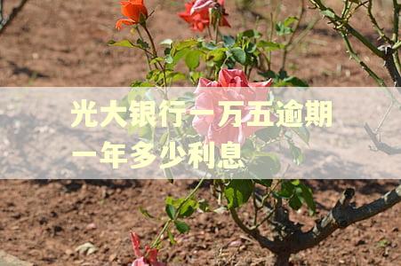 光大银行一万五逾期一年多少利息