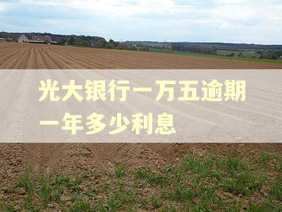 光大银行一万五逾期一年多少利息