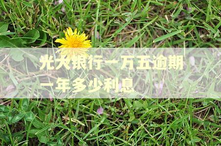 光大银行一万五逾期一年多少利息