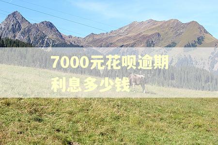 7000元花呗逾期利息多少钱 7000元花呗逾期利息多少钱