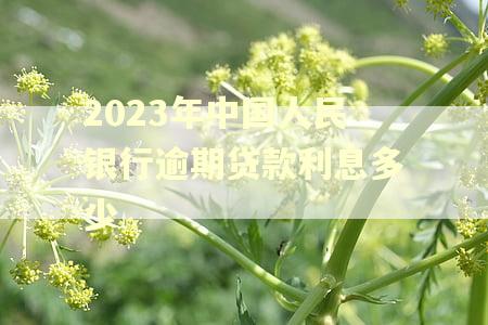 2023年中国人民银行逾期贷款利息多少