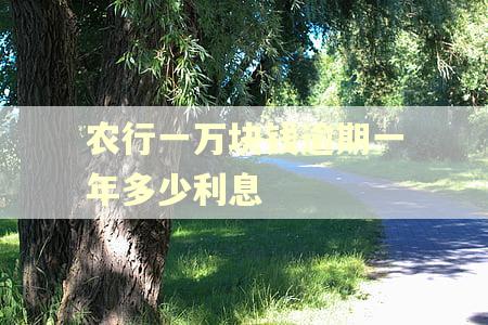 农行一万块钱逾期一年多少利息 农行一万块钱逾期一年多少利息