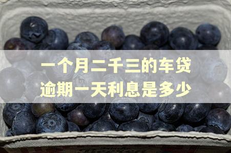 一个月二千三的车贷逾期一天利息是多少