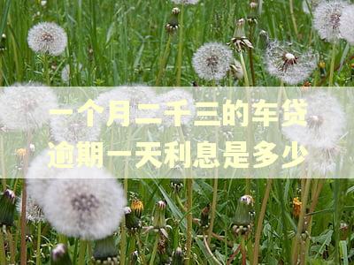 一个月二千三的车贷逾期一天利息是多少 一个月二千三的车贷逾期一天利息是多少