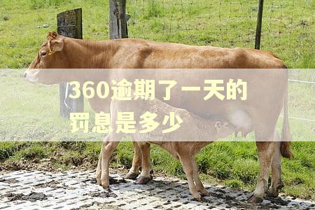 360逾期了一天的罚息是多少