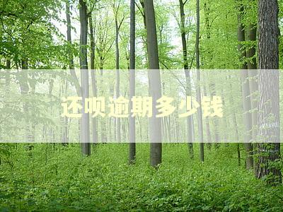 还呗逾期多少钱