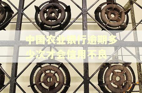 中国农业银行逾期多少次才会信用不良