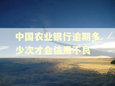 中国农业银行逾期多少次才会信用不良 中国农业银行逾期多少次才会信用不良