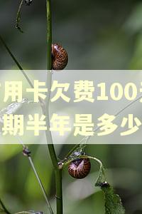 信用卡欠费100元逾期半年是多少钱