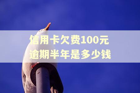 信用卡欠费100元逾期半年是多少钱