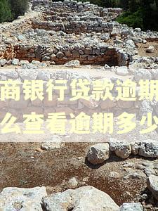工商银行贷款逾期,怎么查看逾期多少钱