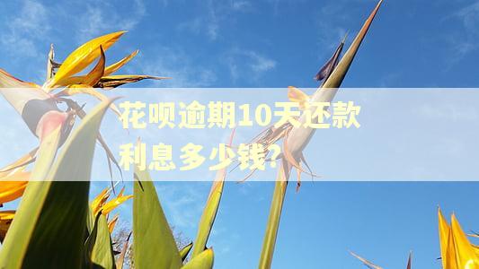 花呗逾期10天还款利息多少钱?