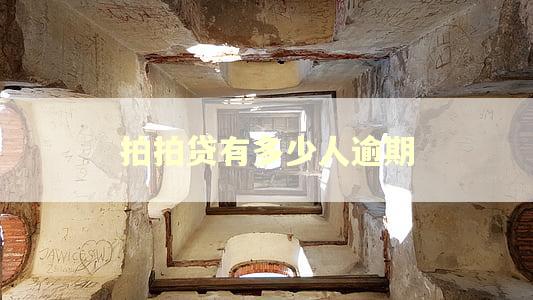 拍拍贷有多少人逾期