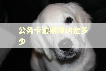 公务卡逾期滞纳金多少