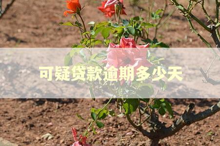 可疑贷款逾期多少天
