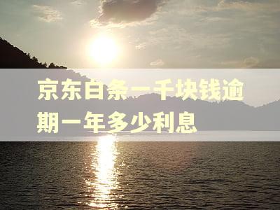 京东白条一千块钱逾期一年多少利息