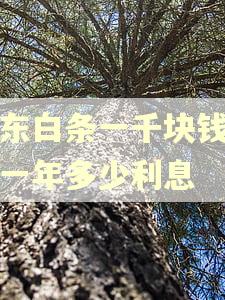 京东白条一千块钱逾期一年多少利息 京东白条一千块钱逾期一年多少利息