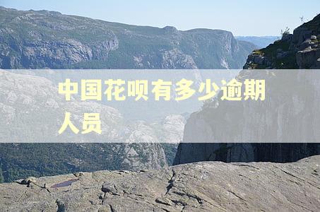 中国花呗有多少逾期人员