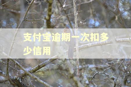 支付宝逾期一次扣多少信用