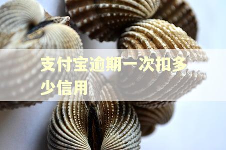 支付宝逾期一次扣多少信用