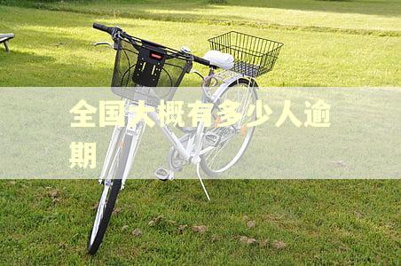全国大概有多少人逾期