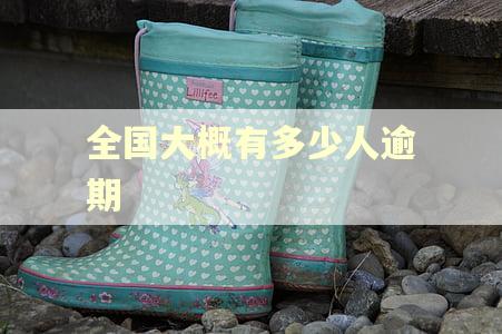 全国大概有多少人逾期 全国大概有多少人逾期