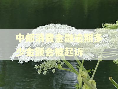 中邮消费金融逾期多少金额会被起诉