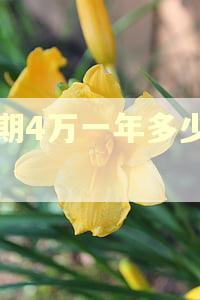 逾期4万一年多少罚息