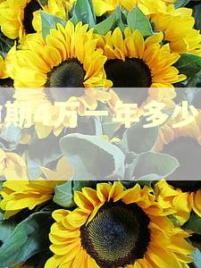 逾期4万一年多少罚息