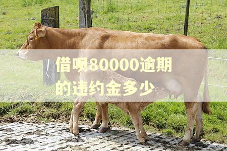借呗80000逾期的违约金多少