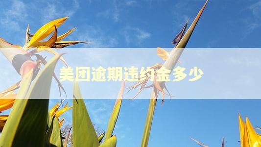 美团逾期违约金多少