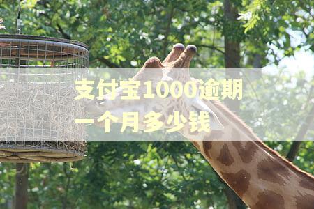 支付宝1000逾期一个月多少钱