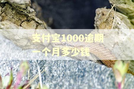 支付宝1000逾期一个月多少钱